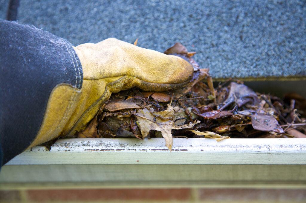 Transform your home's exterior into a stunning and inviting oasis with the pressure washing that makes your sidewalks and driveways look spotless and new. It'll only take a few hours. pressure washing gutter cleaning